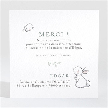 Remerciement naissance ravissant lapin - Dos de la carte
