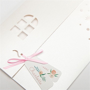 Faire-part naissance la révélation - Détail de la pochette