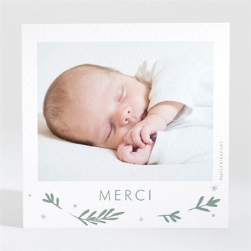 Remerciement naissance végétal vert pastel accordéon