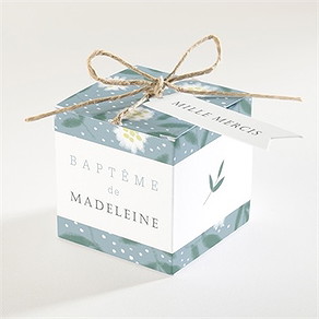 Boîte de dragées baptême cadre végétal