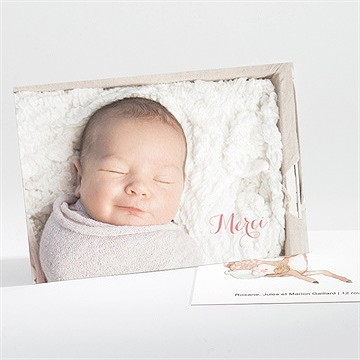 Remerciement naissance a l'ombre du faon