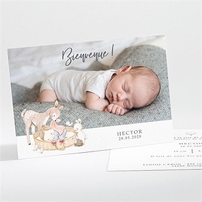 Faire-part naissance scène poétique