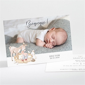 Faire-part naissance scène poétique