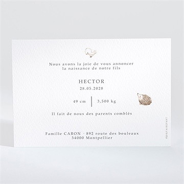 Faire-part naissance scène poétique - Dos du faire-part