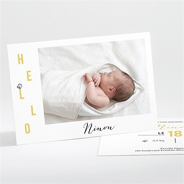 Faire-part naissance animaux graphiques