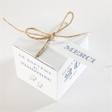 Boîte de dragées baptême illustration animaux - Dessus de la boîte
