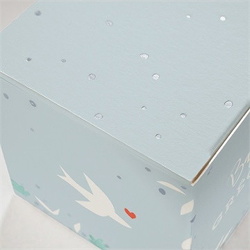 Boîte de dragées baptême colombe en folie - Détail de la boîte