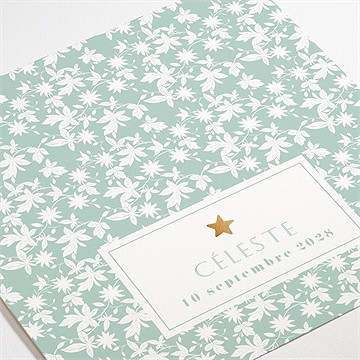 Faire-part naissance feuilles et étoiles - Détail du faire-part