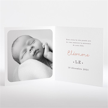 Faire-part naissance cheval à bascule - Intérieur du faire-part