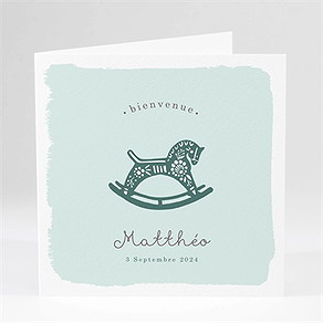Faire-part naissance petit canasson