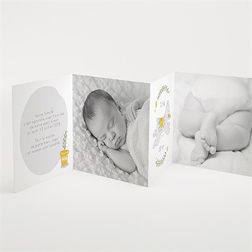 Faire-part naissance farandole champêtre - Intérieur du faire-part