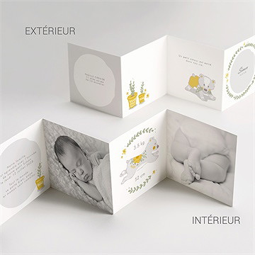 Faire-part naissance farandole champêtre - Vue d'ensemble