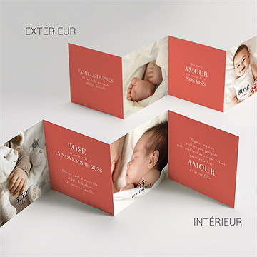 Faire-part naissance mon bébé grenadine - Vue d'ensemble