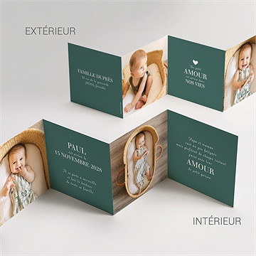 Faire-part naissance petit amour - Vue d'ensemble