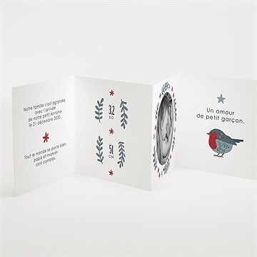 Faire-part naissance ambiance et motifs - Intérieur du faire-part