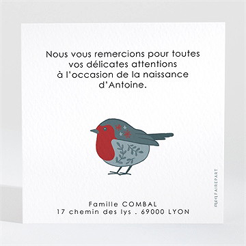 Remerciement naissance ambiance et motifs - Dos de la carte