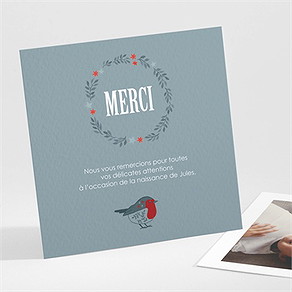 Remerciement naissance composition d'hiver