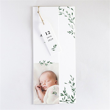 Faire-part naissance douceur végétale - Faire-part assemblé