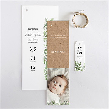 Faire-part naissance kraft et végétation - Vue d'ensemble