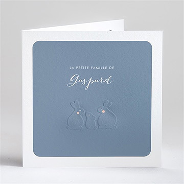 Faire-part naissance notre petite famille