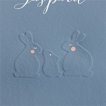 Faire-part naissance notre petite famille - Détail du faire-part