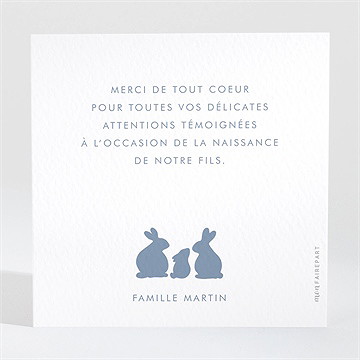 Remerciement naissance notre petite famille - Dos de la carte