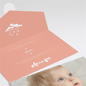 Faire-part naissance tout en un naissance fille - Détail du faire-part