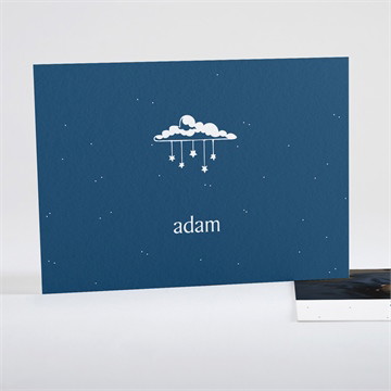 Remerciement naissance tout en un naissance