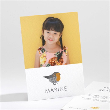 Invitation anniversaire cui cui