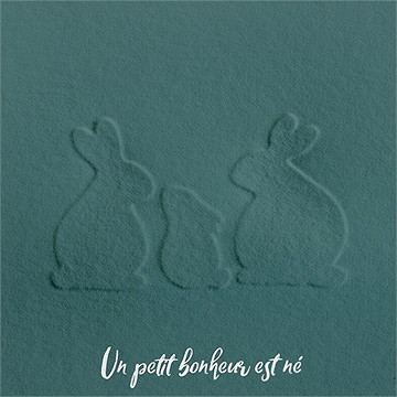 Faire-part naissance notre petite bande - Détail du faire-part