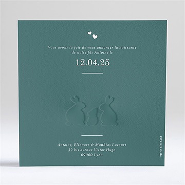 Faire-part naissance notre petite bande - Dos du faire-part