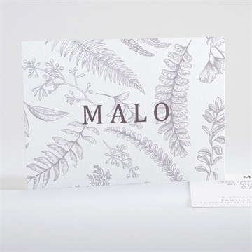 Remerciement naissance gravure gris perle