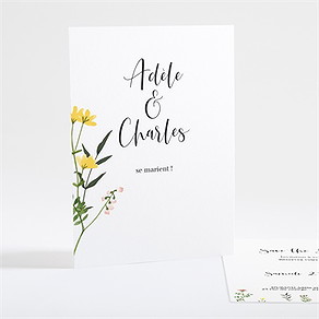 Save the Date mariage joie et couleurs