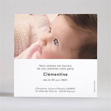 Faire-part naissance petit nid - Dos du faire-part