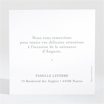 Remerciement naissance mon joli berceau - Dos de la carte