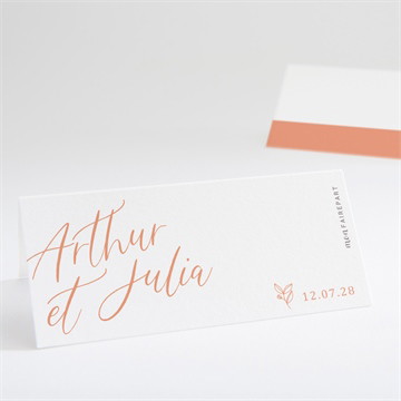 Marque-place mariage fantasques