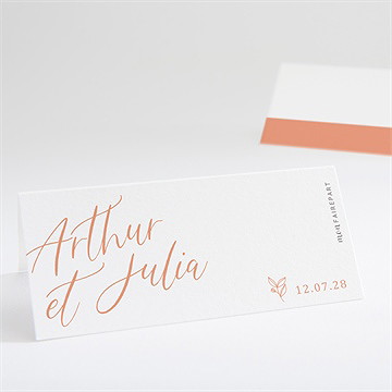 Marque-place mariage fantasques