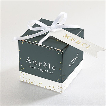 Boîte de dragées baptême ichthus