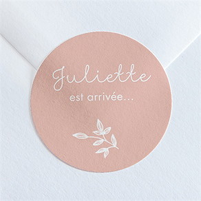 Sticker naissance simple cadre et photo