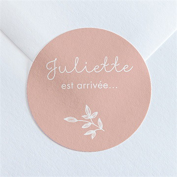 Sticker naissance simple cadre et photo