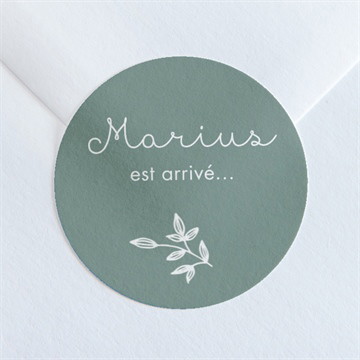 Sticker naissance cadre photo simple