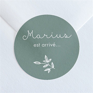 Sticker naissance cadre photo simple