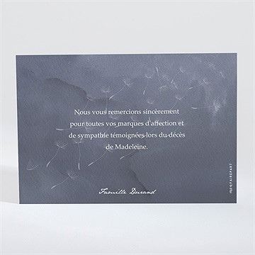 Remerciement décès recueillement paysage - Dos du carton