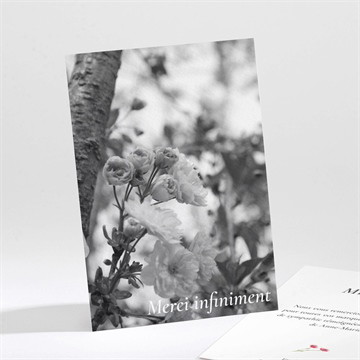 Remerciement décès en image