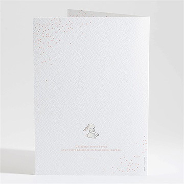 Livret de messe baptême petit lapin baptême - Dos du livret