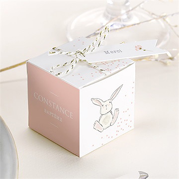 Boîte de dragées baptême petit lapin baptême