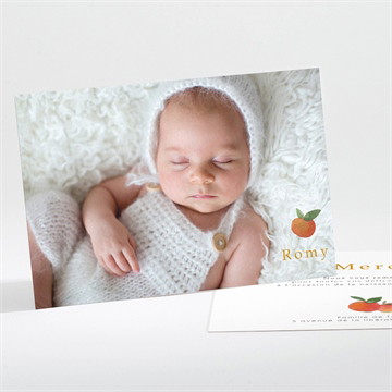 Remerciement naissance petits agrumes