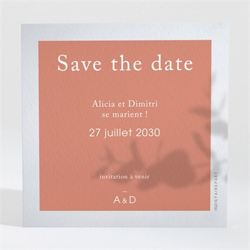 Save the Date mariage coming soon