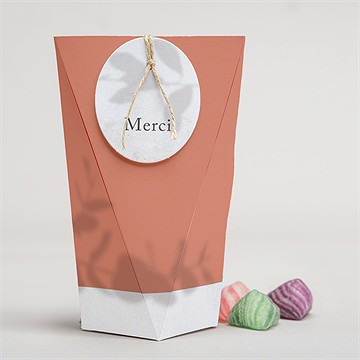 Boîte surprise mariage coming soon