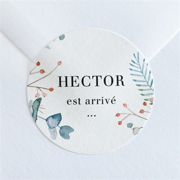 Sticker naissance esquisse végétale ficelle